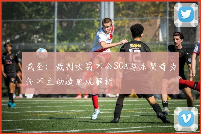 武圣：裁判吹罚不公SGA与东契奇为何不主动造犯规解析