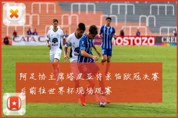 阿足协主席塔皮亚将亲临欧冠决赛后前往世界杯现场观赛