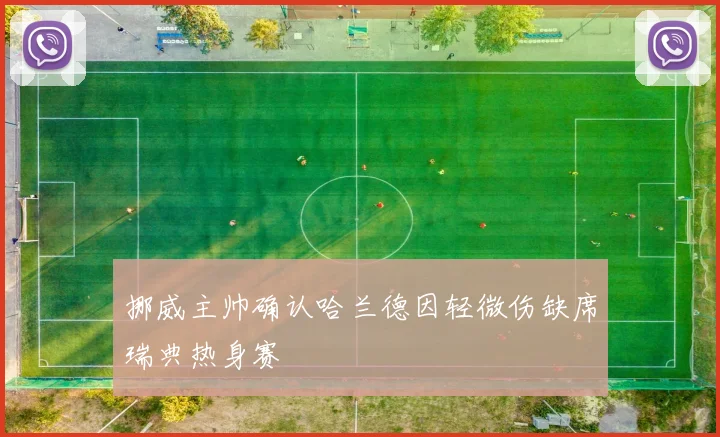 挪威主帅确认哈兰德因轻微伤缺席瑞典热身赛